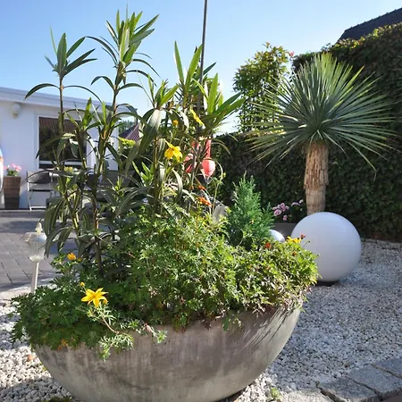 Lejlighed Scheming *